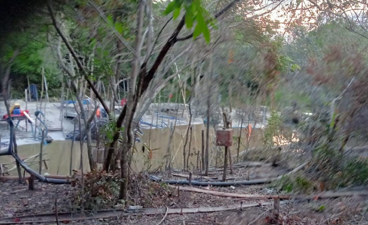 Aktivitas penambangan timah ilegal di daerah aliran sungai (DAS) dan merusak kawasan hutan mangrove di Kecamatan Gantung, Kabupaten Belitung Timur. (Foto: IST)