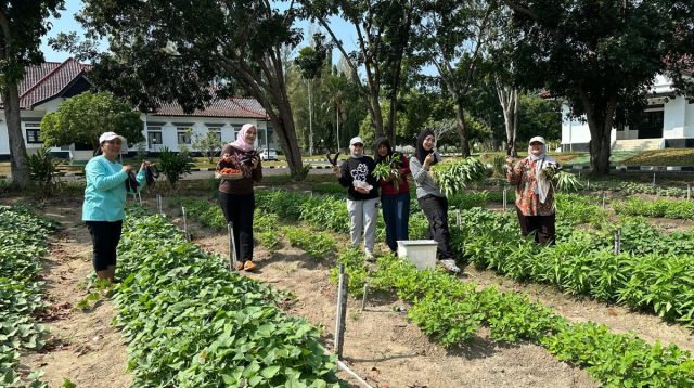 Tim Penggereak PKK Kep. Bangka Belitung memanen buah dan sayuran di Kebun Cintai Pekarangan (Cikar).