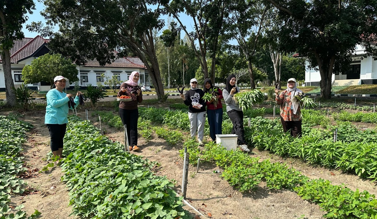 Tim Penggereak PKK Kep. Bangka Belitung memanen buah dan sayuran di Kebun Cintai Pekarangan (Cikar).